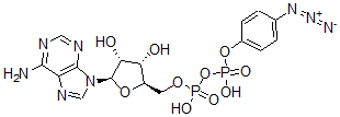CAS#: 76611-59-1, [(2R,3S,4R,5R)-5-(6-Aminopurin-9-Yl)-3,4-Dihydroxyoxolan-2-Yl]Methyl [(4-Azidophenoxy)-Hydroxyphosphoryl] Hydrogen Phosphate