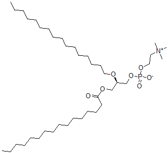 CAS 登录号：77111-06-9， [(2R)-3-棕榈酰氧基-2-十六烷氧基丙基]2-三甲基铵乙基磷酸酯盐