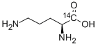 CAS 登录号：77882-82-7， L-鸟氨酸,[1-14C]