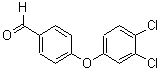 CAS 登录号：78725-50-5， 4-(3,4-二氯-苯氧基)-苯甲醛