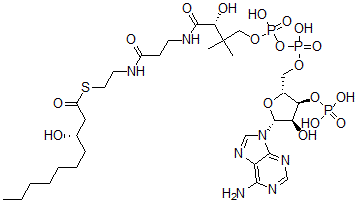 CAS#: 79171-49-6, 3-Hydroxydecanoyl-coenzyme A