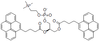 CAS 登录号：80115-55-5， 1,2-二(4-(1-芘基)丁酰基)-Sn-甘油-3-磷酰胆碱
