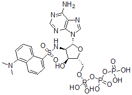 CAS 登录号：80214-45-5， 丹磺酰氨基脱氧-腺苷三磷酸酯