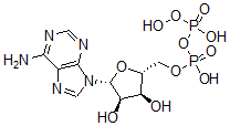 CAS 登录号：80589-10-2， 腺苷酰 5'-过氧二磷酸酯