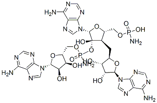 CAS 登录号：81010-22-2， 腺苷酰(2'-5')-腺苷酰-(2'-5')腺苷 二-氨基磷酸酯