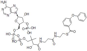 CAS#: 81424-65-9, 3-Phenoxybenzoyl-Coenzyme A
