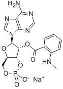 CAS 登录号：83707-14-6， 腺苷环-3',5'-(氢磷酸酯) 2'-[2-(甲基氨基)苯甲酸酯]