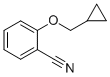 CAS#: 83728-40-9, 2-(Cyclopropylmethoxy)Benzonitrile