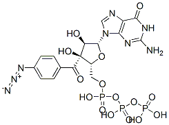 CAS 登录号：84433-07-8， 3'-(4-叠氮基苯甲酰基)鸟苷三磷酸酯