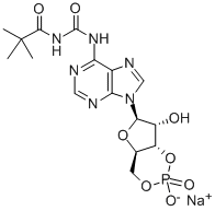 CAS#: 84433-46-5, N-[[(1,1-Dimethylethyl)Amino]Carbonyl]-Adenosine Cyclic 3',5'-(Hydrogen Phosphate)