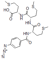 CAS 登录号：85119-89-7， 4-叠氮基苯甲酰基三蛋氨酸