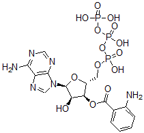 CAS#: 85287-49-6, Adenosine 5'-(tetrahydrogen triphosphate), 3'-(2-aminobenzoate)