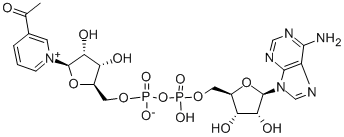 CAS#: 86-08-8, 3-Acetylpyridine Adenine Dinucleotide