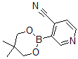 CAS#: 868944-72-3, 3-(5,5-Dimethyl-1,3,2-Dioxaborinan-2-Yl)-4-Pyridinecarbonitrile