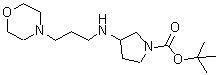 CAS 登录号：887579-34-2， 3-{[3-(4-吗啉基)丙基]氨基}-1-吡咯烷羧酸叔丁酯