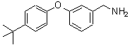 CAS#: 887582-95-8, 1-{3-[4-(2-Methyl-2-propanyl)phenoxy]phenyl}methanamine
