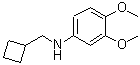 CAS#: 887588-17-2, N-(Cyclobutylmethyl)-3,4-dimethoxyaniline