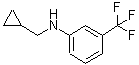 CAS 登录号：887590-43-4， N-(环丙基甲基)-3-(三氟甲基)苯胺