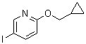 CAS 登录号：902837-53-0， 2-(环丙基甲氧基)-5-碘吡啶