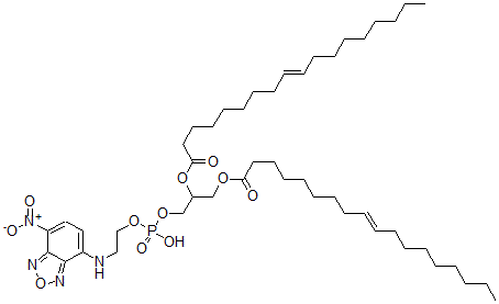 CAS 登录号：91632-07-4， N-(7-硝基-2,1,3-苯并恶二唑-4-基)二油酰基磷脂酰乙醇胺