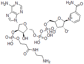 CAS#: 95754-66-8, 2'-O-(N-(2-Aminoethyl)carbamoylethyl)phosphono-NAD