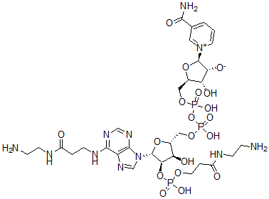 CAS 登录号：95754-68-0， 2'-(O)-(N-(2-氨基乙基)氨基甲酰基乙基)膦酰-N(6)-(N-(2-氨基乙基)氨基甲酰基乙基)-NAD