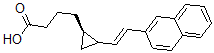 CAS 登录号：96314-49-7， 8-(2-萘基)-5,6-反式-5,6-甲桥-7-辛烯酸
