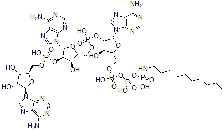 CAS 登录号：96902-45-3， P(1)-腺苷酰-5'-2'-腺苷酰-5'-2'-腺苷-P(3)-N-癸基氨基三磷酸酯