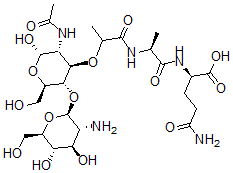CAS 登录号：97590-38-0， 葡萄糖胺基胞壁酰二肽