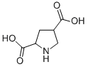 CAS#: 99319-03-6, 2,4-Pyrrolidinedicarboxylic Acid