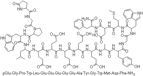 Gastrin I Human molecular structure (CAS 10047-33-3)
