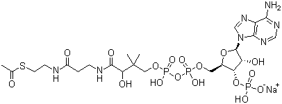 CAS # 102029-73-2, Acetyl coenzyme A sodium salt