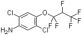 CAS # 103015-84-5, 2,5-Dichloro-4-(1,1,2,3,3,3-hexafluoropropoxy)benzenamine