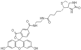 CAS # 1032732-74-3, Biotin-4-Fluorescein, (3aS,4S,6aR)-N-[2-[[(3',6'-Dihydroxy-3-oxospiro[isobenzofuran-1(3H),9'-[9H]xanthen]-5-yl)carbonyl]amino]ethyl]hexahydro-2-oxo-1H-thieno[3,4-d]imidazole-4-pentanamide