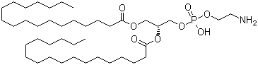CAS # 1069-79-0, 1,2-Distearoyl-sn-glycero-3-phosphoethanolamine, (R)-1-[[[(2-Aminoethoxy)hydroxyphosphinyl]oxy]methyl]ethane-1,2-diyl distearate