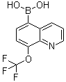 structure of CAS# 1072951-46-2, [8-(三氟甲氧基)-5-喹啉基]硼酸