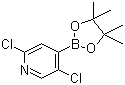 structure of CAS# 1073353-98-6, 2,5-二氯吡啶-4-硼酸频哪醇酯