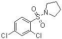 CAS # 1087640-35-4, 1-[(2,4-Dichlorophenyl)sulfonyl]pyrrolidine