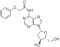 N-(Phenoxyacetyl)-2'-deoxyadenosine molecular structure (CAS 110522-74-2)