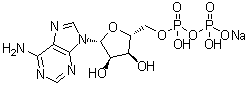 CAS # 1172-42-5, Adenosine-5'-diphosphate monosodium salt, NSC 20267, Sodium ADP