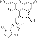 structure of CAS# 117548-22-8, 5(6)-羧基荧光素琥珀酰亚胺酯