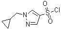 structure of CAS# 1178919-63-5, 1-(环丙基甲基)-1H-吡唑-4-磺酰氯