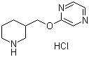 CAS # 1185309-79-8, 2-(3-Piperidinylmethoxy)pyrazine hydrochloride