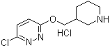 structure of CAS# 1185311-75-4, 3-Chloro-6-(3-piperidinylmethoxy)pyridazine hydrochloride