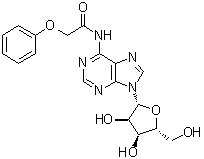 CAS # 119824-65-6, N-(Phenoxyacetyl)adenosine
