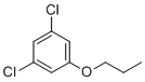 CAS # 1202656-18-5, 1,3-Dichloro-5-propoxybenzene