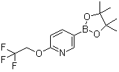 CAS # 1268467-17-9, 2-(2,2,2-Trifluoroethoxy)pyridine-5-boronic acid pinacol ester, 5-(4,4,5,5-Tetramethyl-1,3,2-dioxaborolan-2-yl)-2-(2,2,2-trifluoroethoxy)pyridine