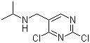 CAS # 1289387-95-6, 2,4-Dichloro-N-(1-methylethyl)-5-pyrimidinemethanamine