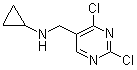 CAS # 1289388-21-1, 2,4-Dichloro-N-cyclopropyl-5-pyrimidinemethanamine