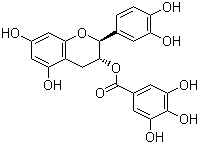 (-)-Catechin gallate molecular structure (CAS 130405-40-2)